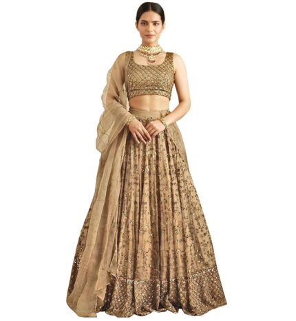 TRENDMALLS Women’s Net Sequin Embroidery Lehenga Choli with Dupatta |Bridal Party Stylish Wedding Lehenga Choli for women by VintaVool